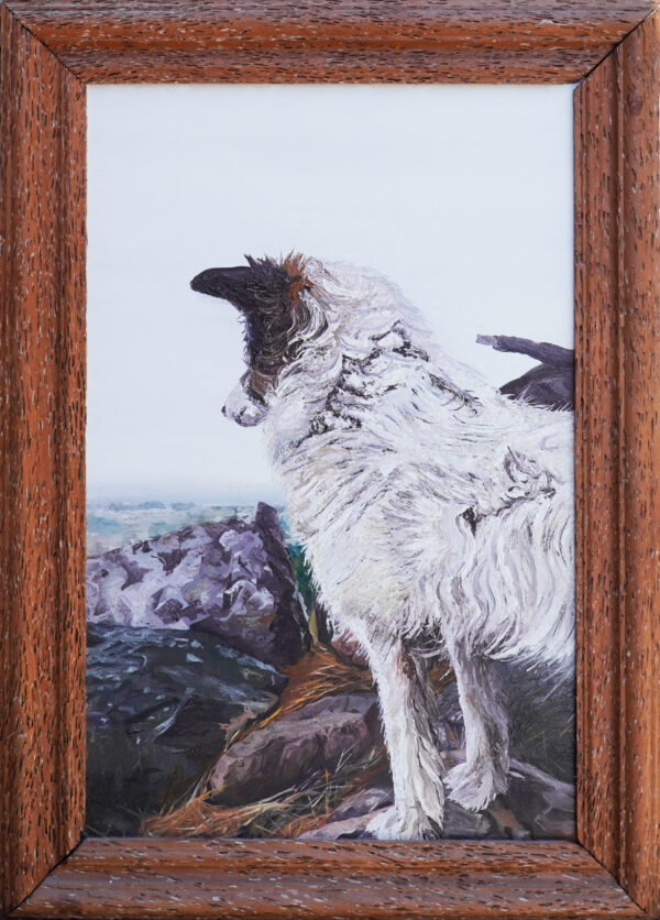 Maga – Plano con marco – Di Biasse